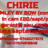 Loc in cam £80/sapt/pers-Bow rd (zona 2)
