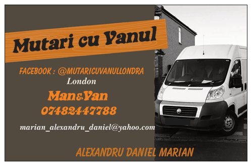 Mutari cu vanul / duba transport